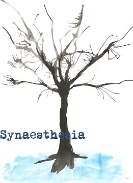 Synaesthesia