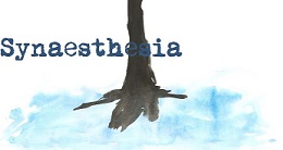 Volare in Synaesthesia Magazine